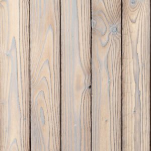 Dragonwood White Świerk