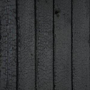Dragonwood Carbon Daglezja